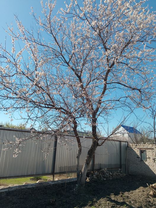 Продам участок в центре