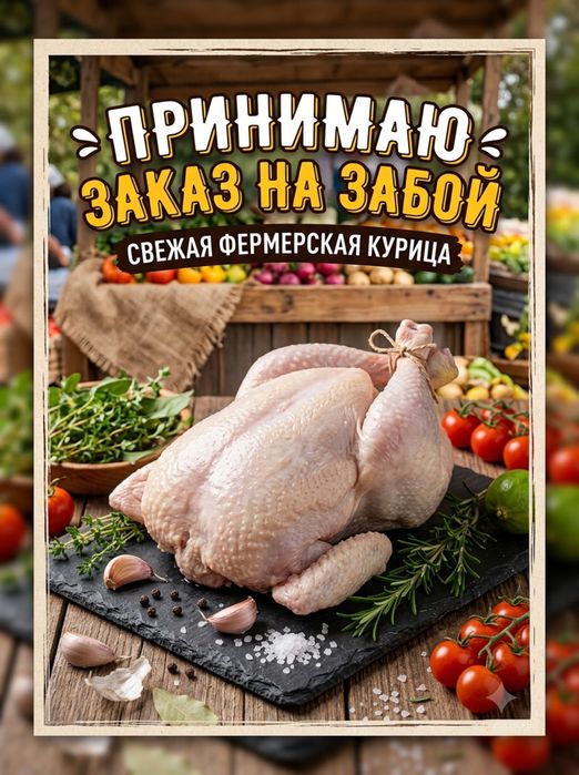 Домашняя курица