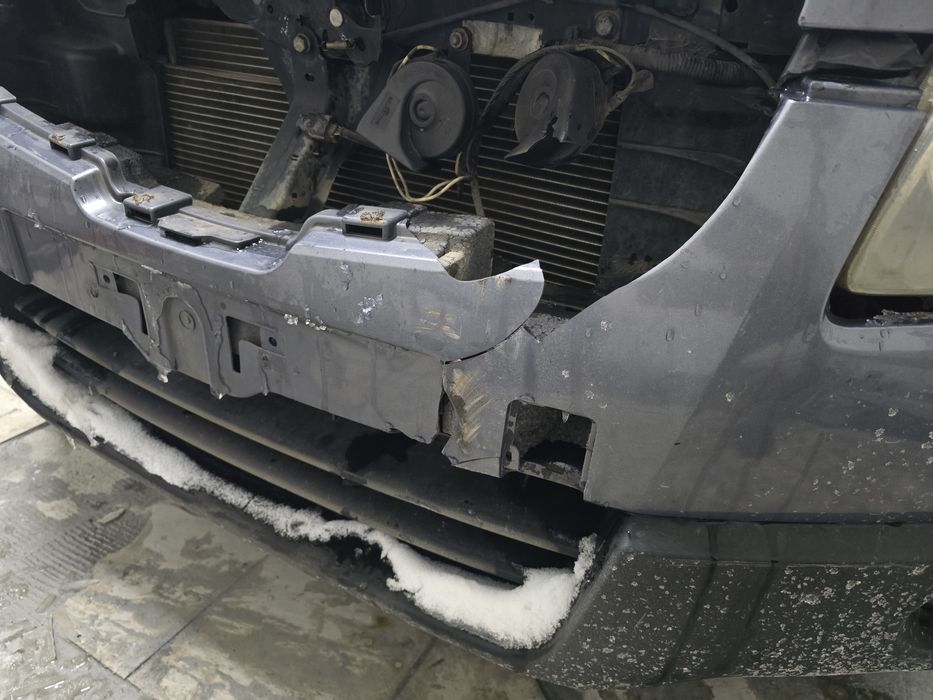 Маляр костоправ доступные цены