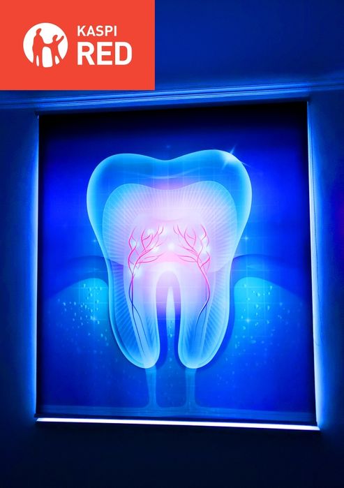 Жалюзи День и ночь Жалюзи