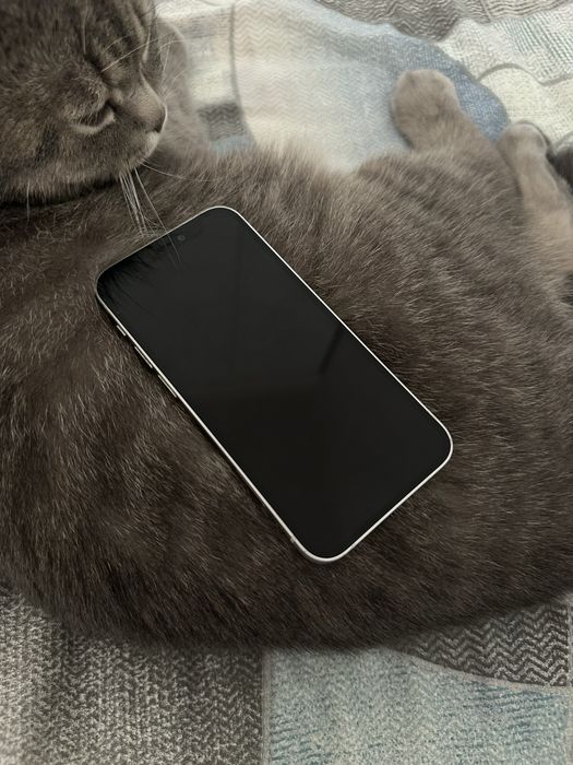 Iphone 12 mini 64гб продам обмен