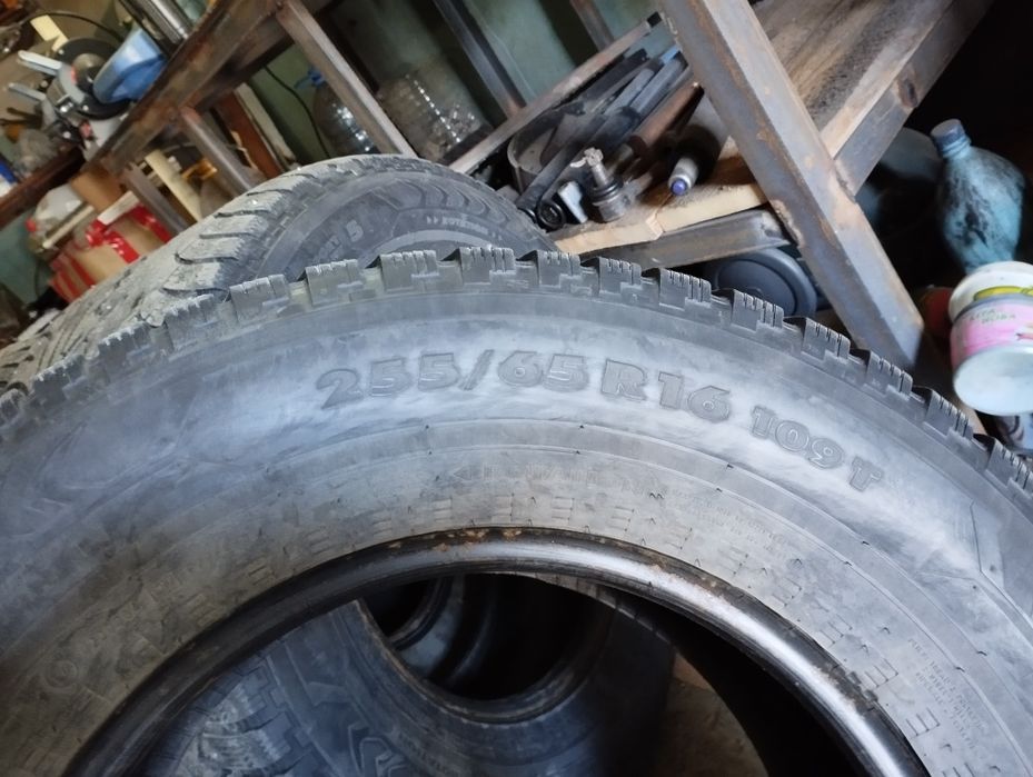 Шины зимние Nokian