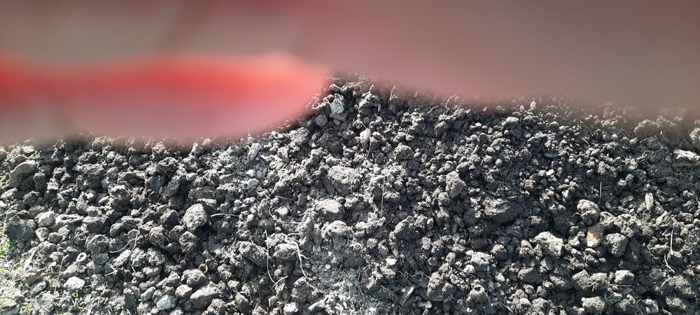 Gunoi de grajd putred