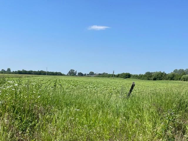 Oportunitate la 70 km pe autostrada de Bucuresti- sat Gura Foii – 17.700 mp teren compact, 75.000 EUR