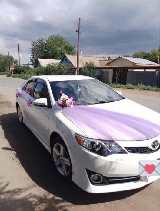 Выписка с роддома / Оформление машины / Свадьба /