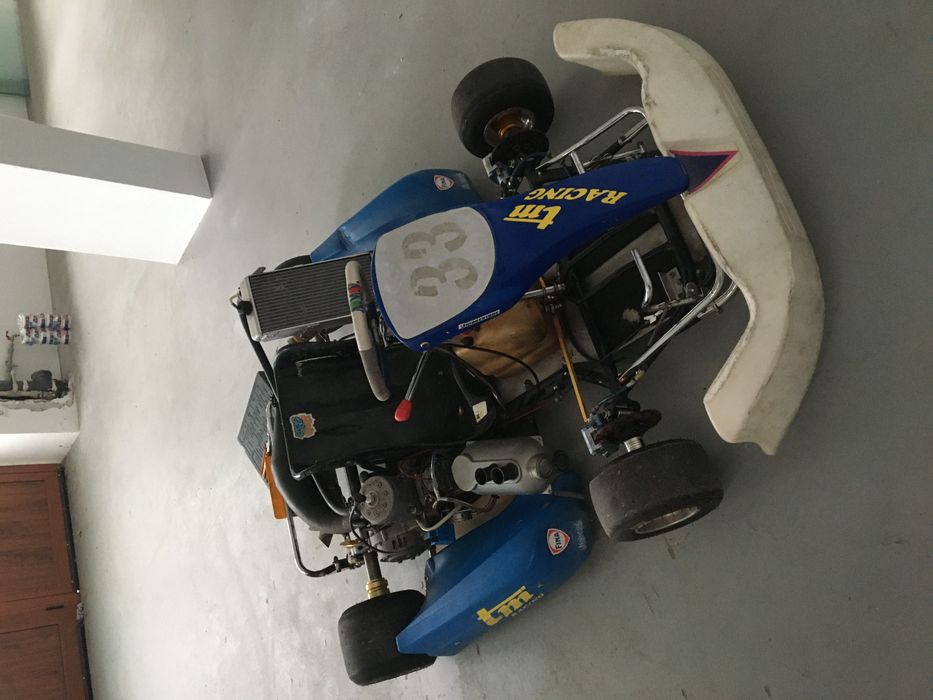 Картинг TM 125 K9 go kart