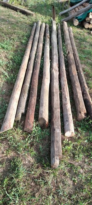 Vand lemn grinzi rotunde