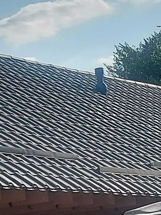 Искусственная Вентиляция