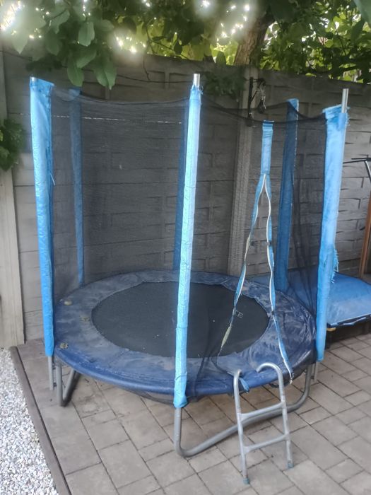 Trambulina Mappy 183cm cu plasa de protectie si scara