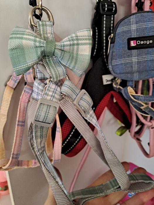 Ham zgarda pentru caini