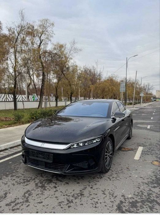 BYD Han L 1ta pod zakaz