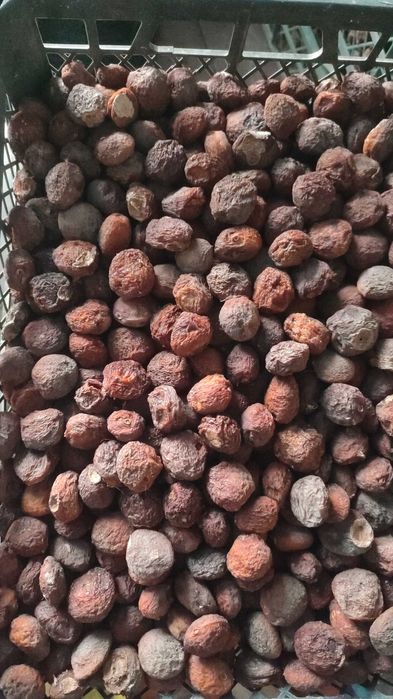 Сухофрукты яблоко, 1-й, 2-ой сорт