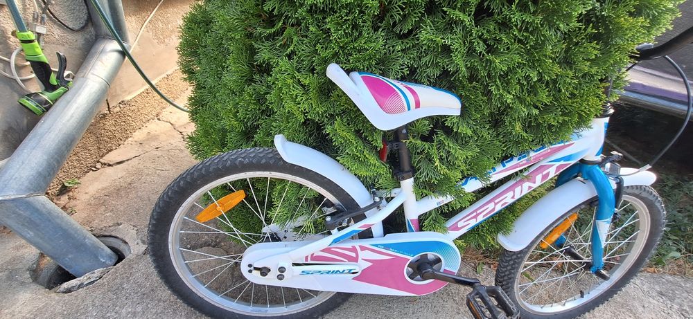 Sprint kiddy Calipso 20"