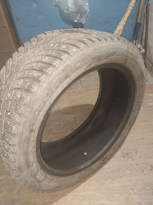 шина r21. шипованная