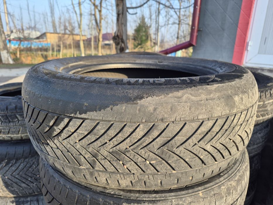 Balo sotiladi tourador al season