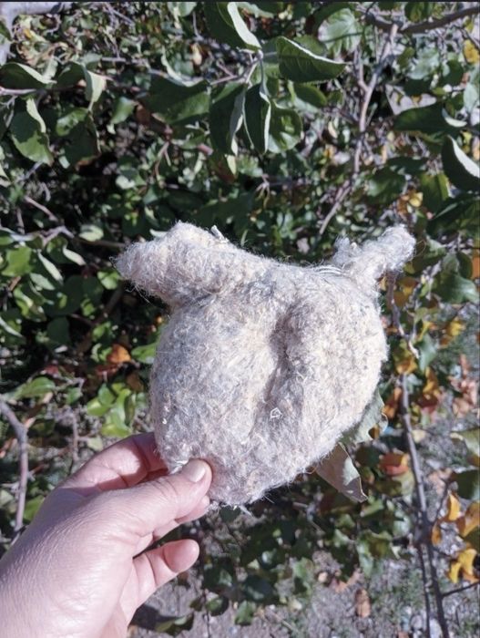 Грездо ремеза , куркултайдын уясы