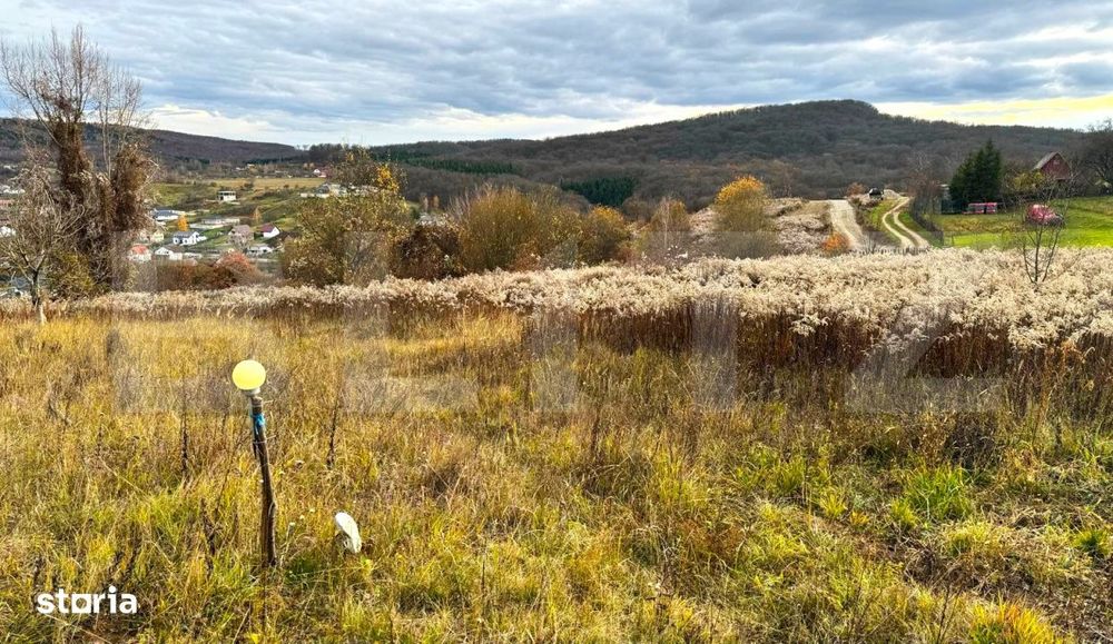 Teren extravilan de vanzare, 2400 mp, zona Valea Ghinzii