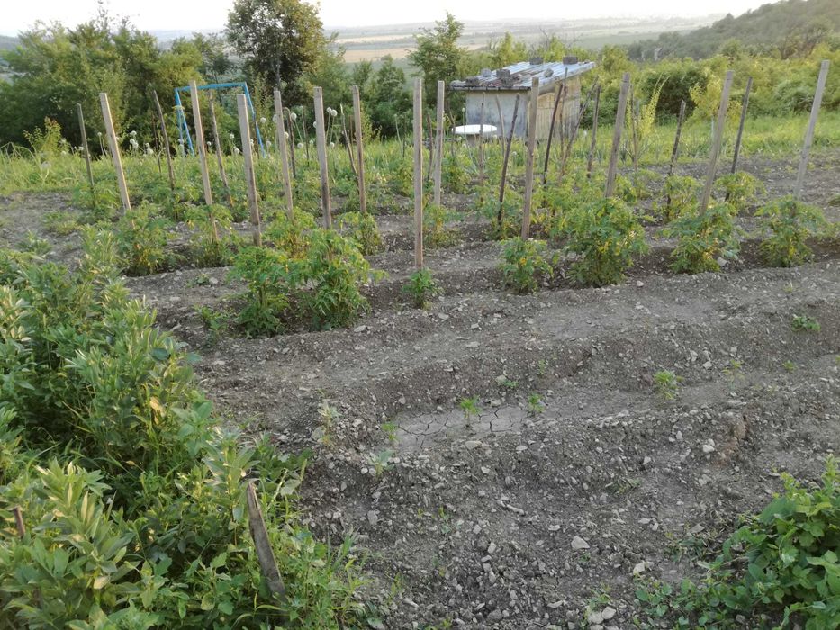 Продава се Къща в Търговище, Вилна зона - 40 кв.м за 587 €/кв.м - Снимка #7