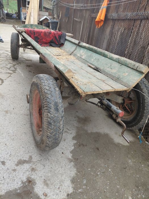 Cal castrat de vanzare inhamat tot