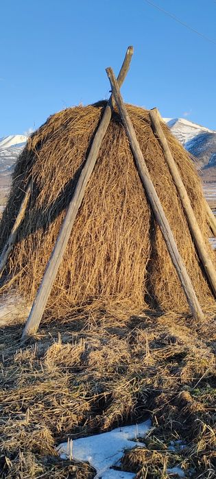 Продам сено, недорого