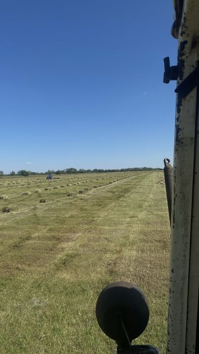 Сено сено сено.