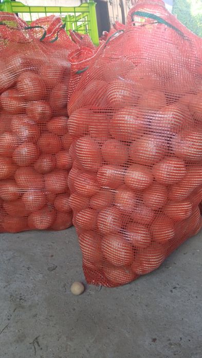Продам картошку 150 тг за кг