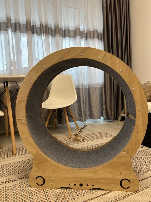 Roata pisici jucause