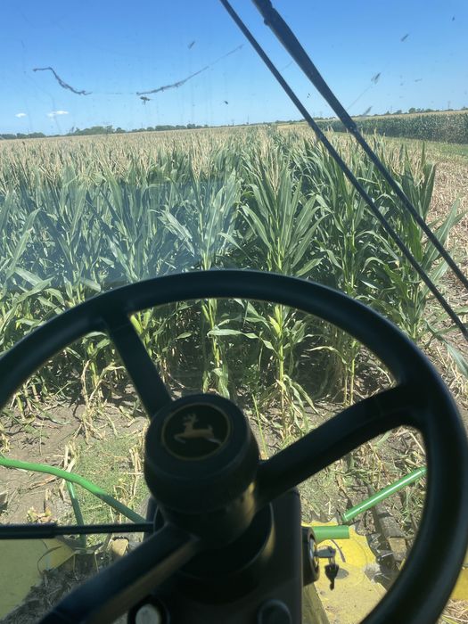 ПРОМОЦИЯ -Сенаж- 80 лв на тон ,  Ливадно Сено- 65.лв бр  ТОП КАЧЕСТВО