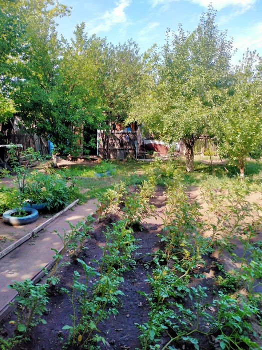 Продам дачу мелиаратор