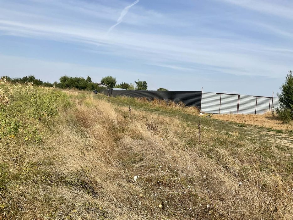 Teren 500 MP – Clinceni, langa ferma de struti