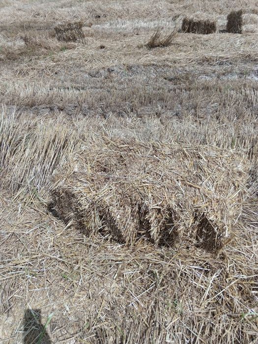 Somon press sotiladi dastafka qiberamiz Toshkent viloyati liboy joyiga