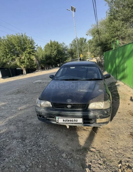 Тайга айырбастаймын