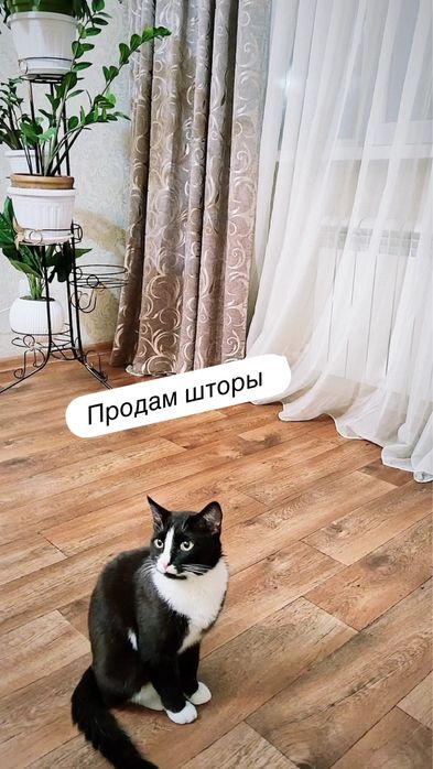 Красивые шторы .