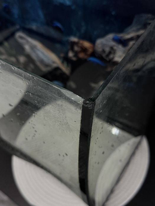 Acvariu sticlă 72 cm lungime