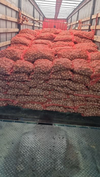 Продам семена 1я репродукция