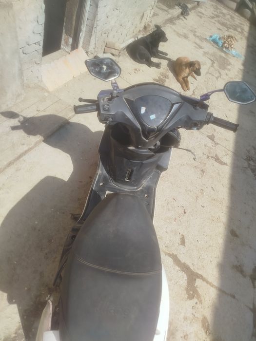 Продам мопед м8 и