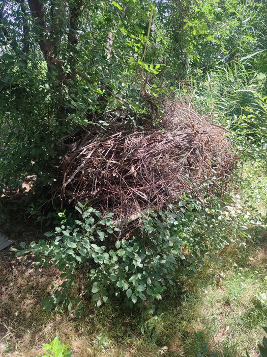 Утин сотилади курук