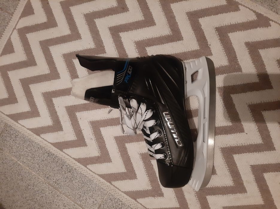 Коньки коньки коньки