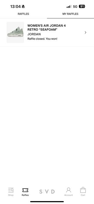 Nike Air Jordan 4 Retro Abundance Seafoam Sail Metallic