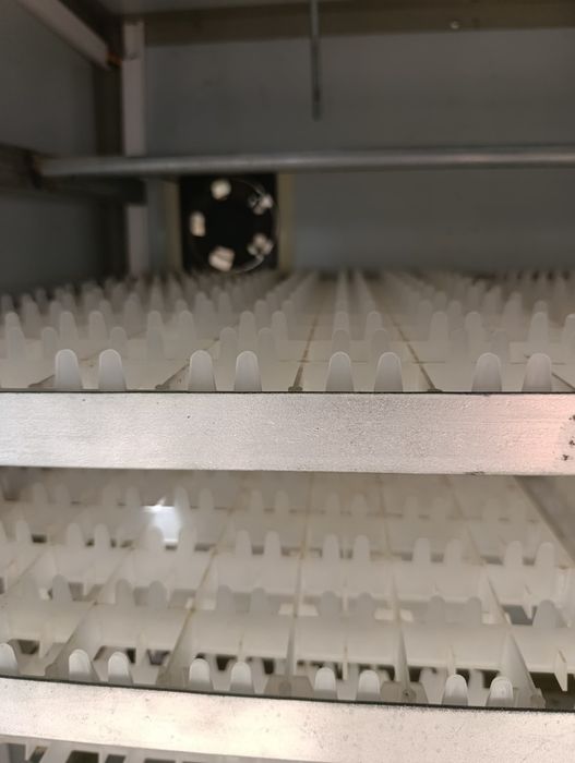 Inkubator sotiladi 600talik