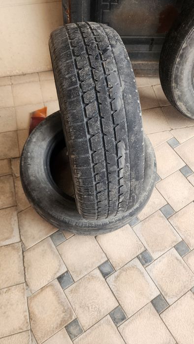 Balon sotiladi 13 damas laboga juguliga shina balon