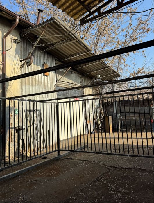 Padoc caini sau orice animale