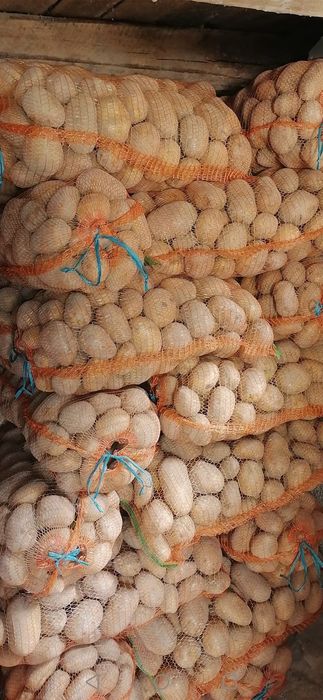 Cartofi alb(60+) sí rosu(60+)