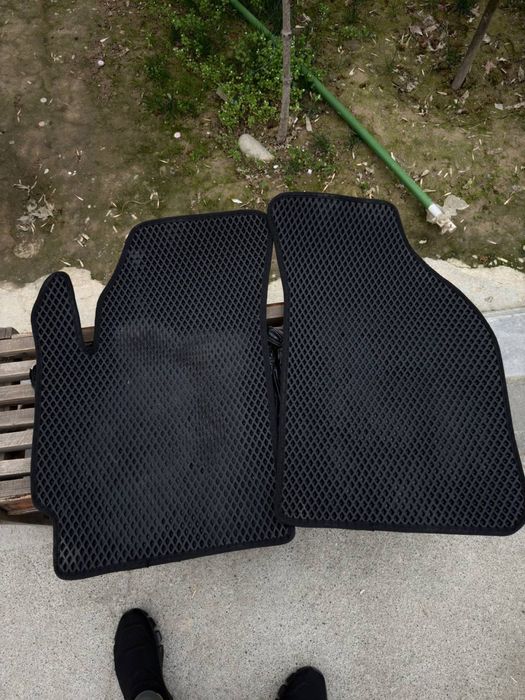 Matiz Evakor polik arginal