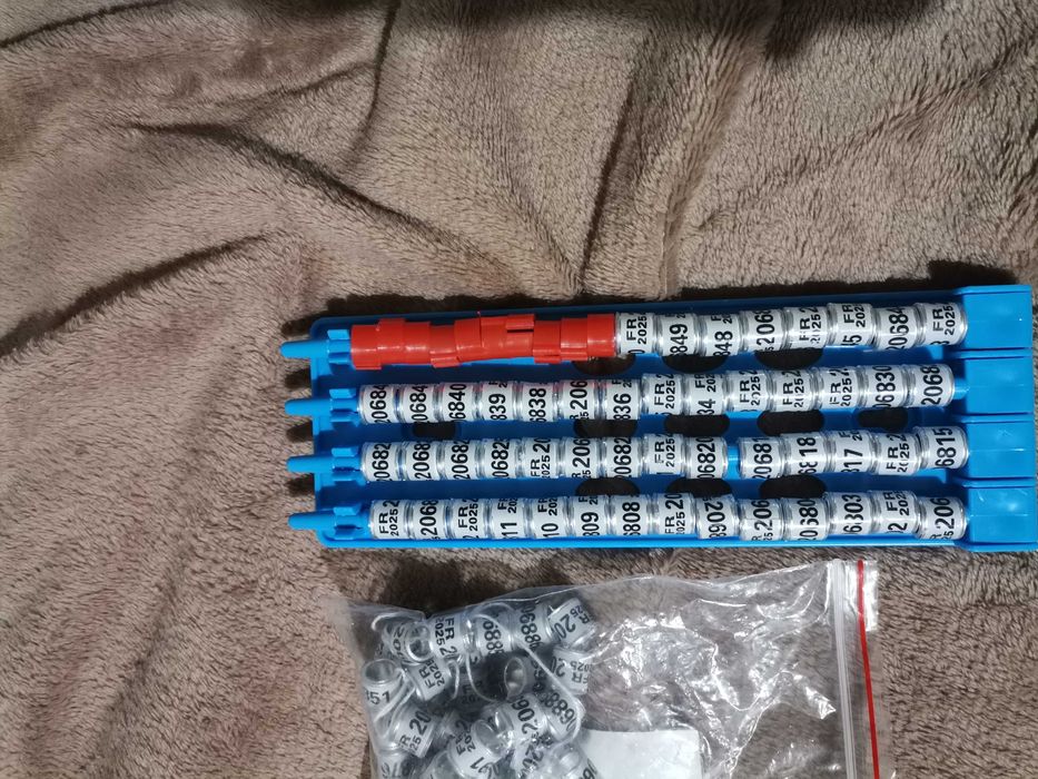 Inele porumbei 2025 sport