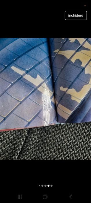 Doamna si vagabondul