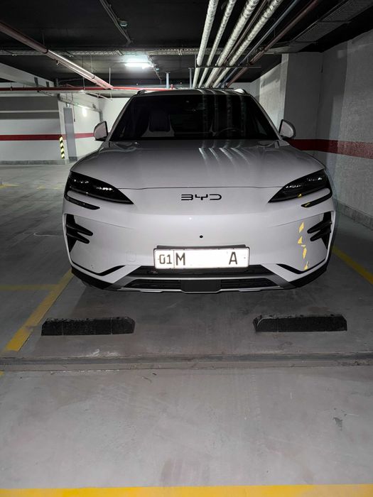 BYD Champion Restailing EV