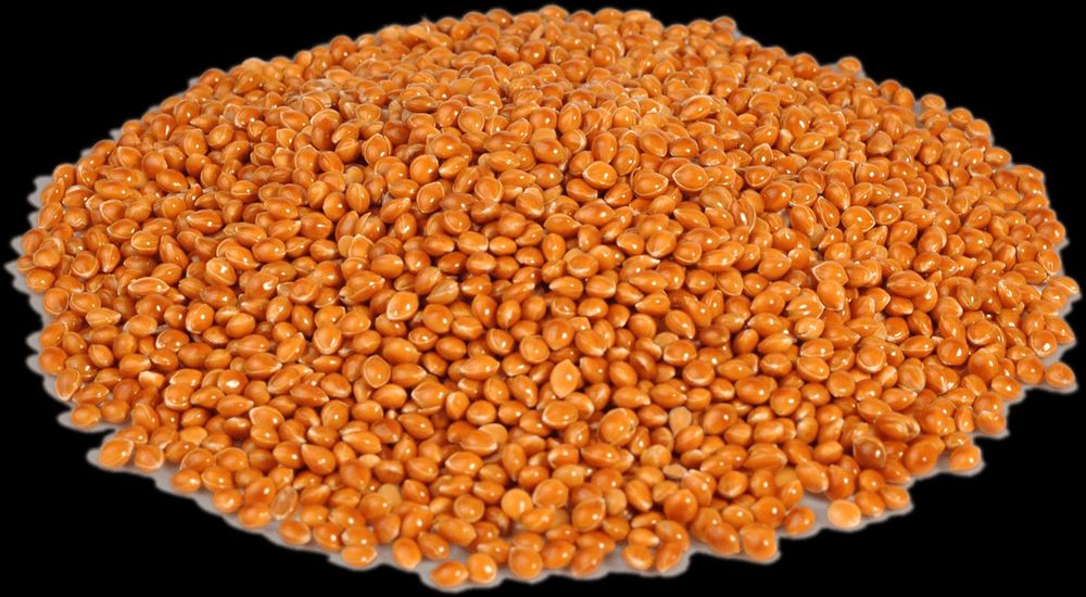 Попугай волнистые все в одном месте