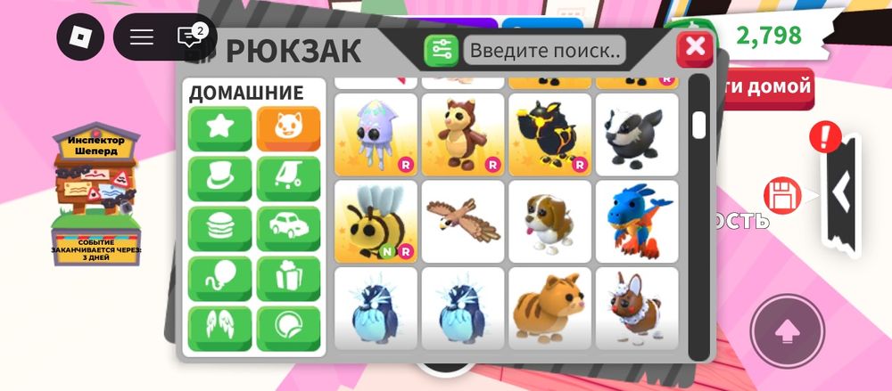 Продам петов в адопт