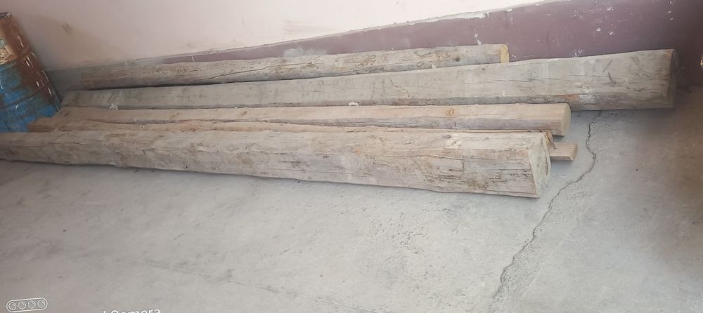 Tosinlik 4.5 metrlik sasna sotiladi